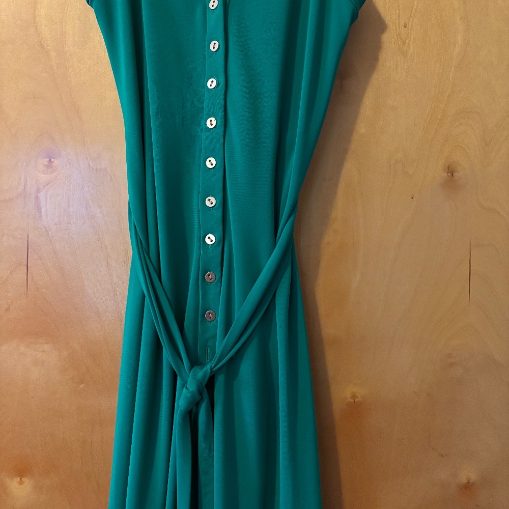 Ann Taylor Petite Dress